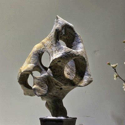 太湖石 假山盆景石头小摆件鱼缸造景附石观赏石天然石材原石抱石