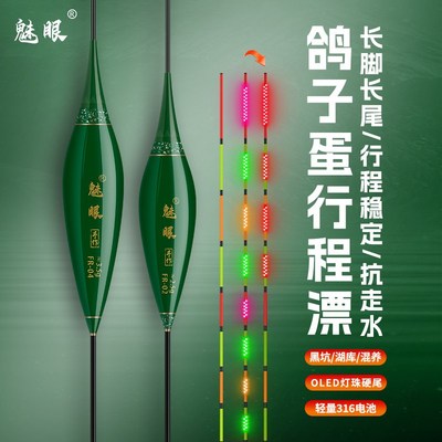 加长灯珠LED尾翘嘴行程夜光漂日夜两用鲢鳙浮漂超长黑坑流氓鱼漂