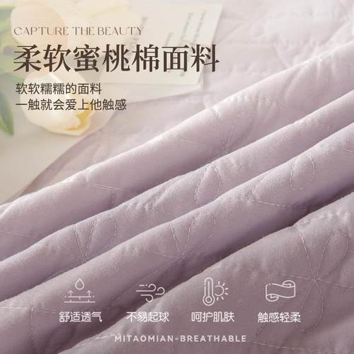 22新款5加0厚夹棉床笠床裙单件二合一FS758584公主床单带裙边风床