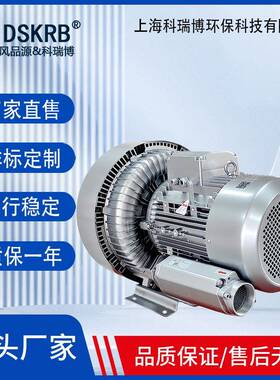 2B910-7AH1712R.5酵KW生物GND气粪便发曝高压鼓风机