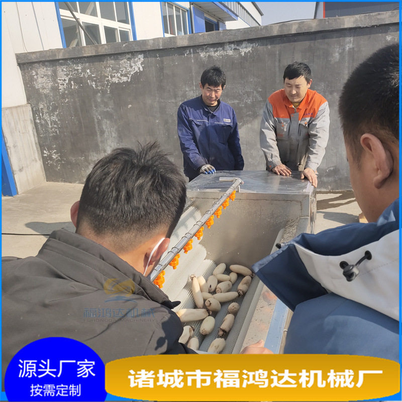 双喷淋嘴的洗土豆机器 莲藕去皮清洗机 长度一米五的毛刷清洗机
