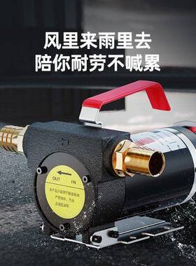 威猛自电动抽油泵小型1855V224V220V伏柴油抽泵加油机正反油吸泵