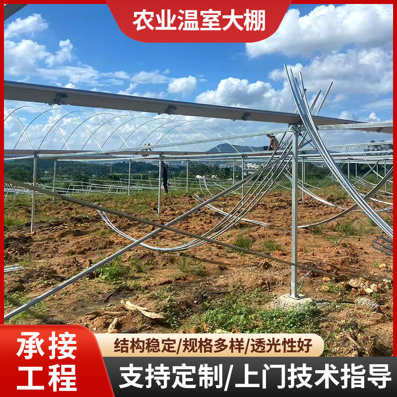 广东厂家智能玻璃连栋温室大棚