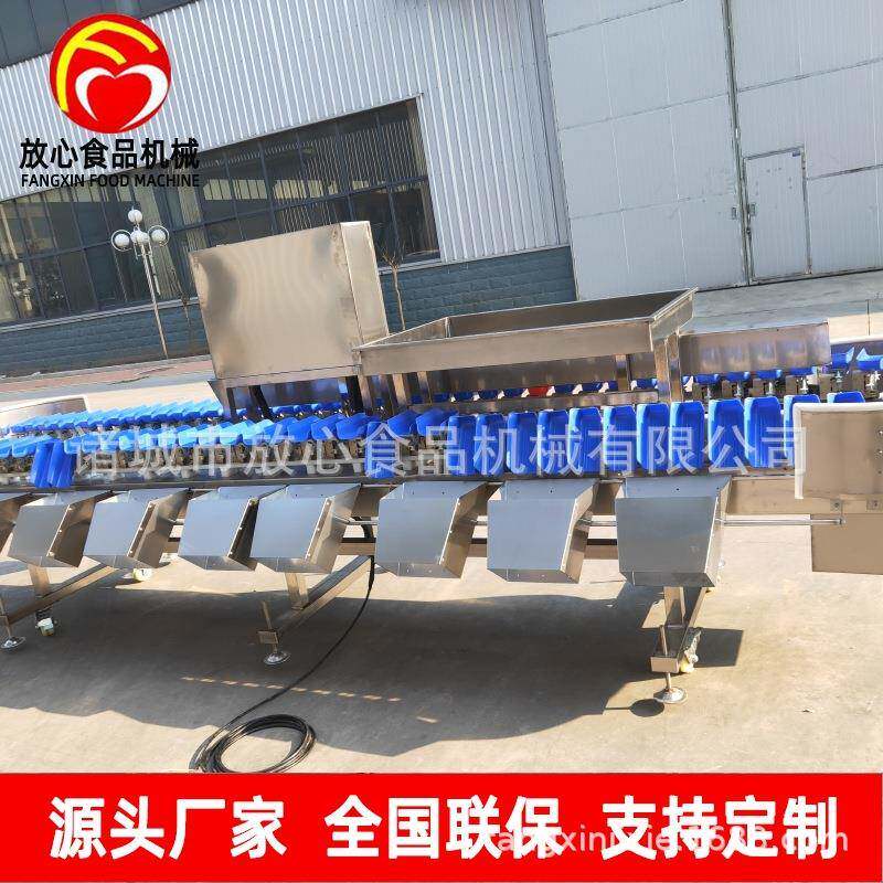 爪鸡翅鸡腿重量分选机海DYU参鸡鲍式鱼称重鲜分拣机海托盘牡蛎分