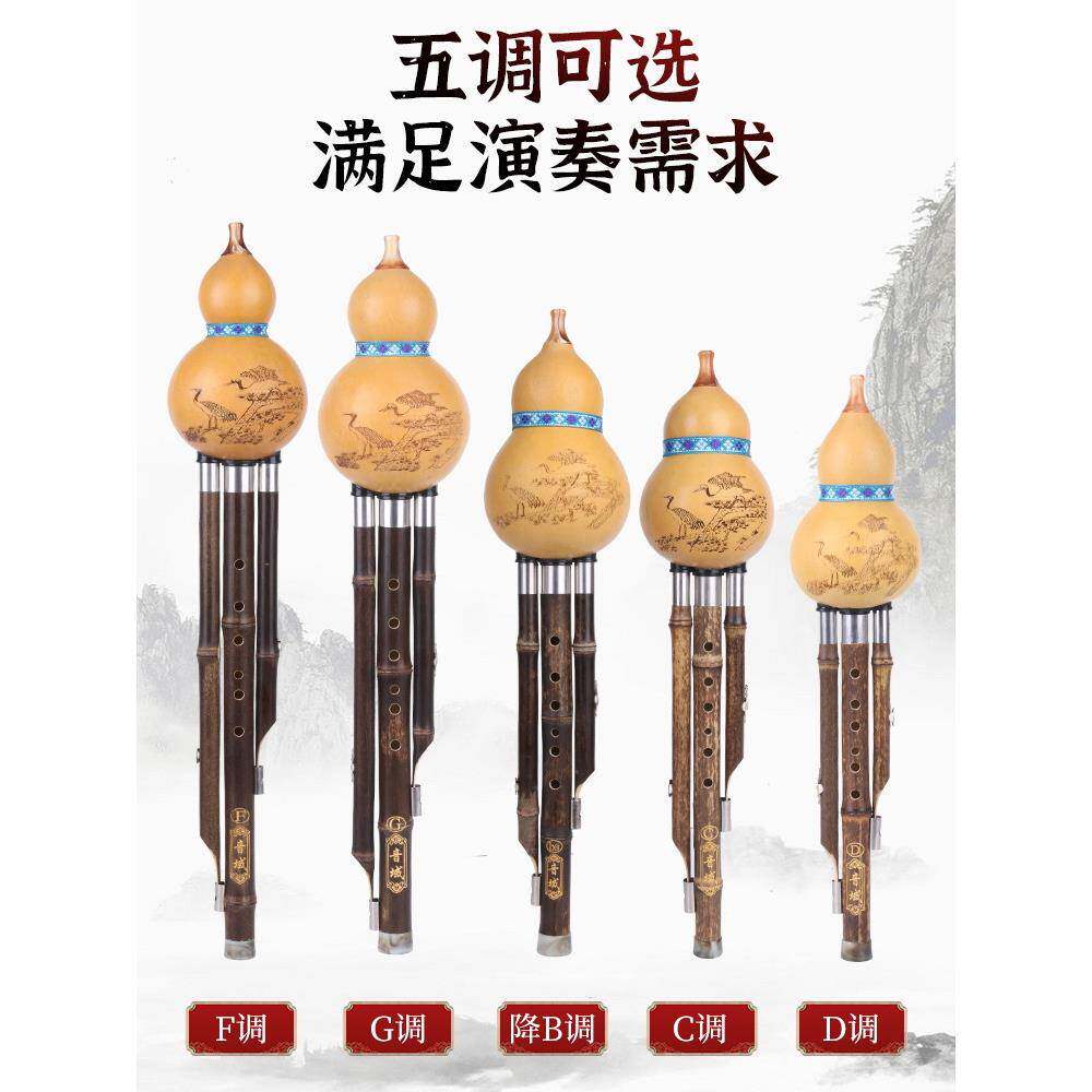 紫竹葫芦丝乐器学者cMQQ调降b调g调女f调初小d儿小学生入童门男自