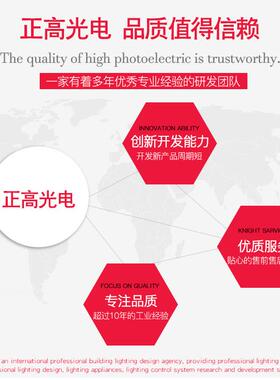LE型灯D线条灯办公室吊线教室长标条灯商场条灯ZG-9035尺寸可非护
