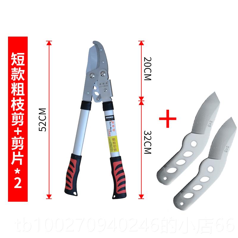 高档家用伸缩剪修枝剪绿园艺化剪刀高剪果剪树枝粗枝枝剪园林工具