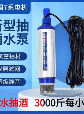 动家酒泵抽AL100303用1电2V抽水泵不锈钢抽酒泵全自动抽酒器吸酒