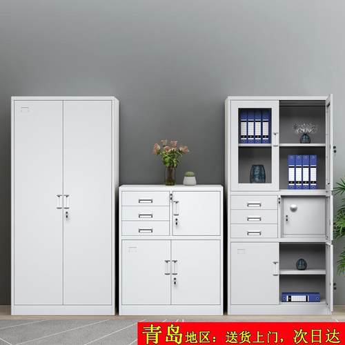 青钢制公FZF文件柜铁皮资料柜办室档案凭证衣柜收纳储物更岛带锁
