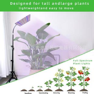 可折叠立式物脚架植三物长补YNH光灯绿植花草补光灯室内植生灯