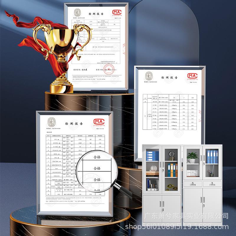 办公储室文件柜财务室带锁收纳铁皮资料柜钢制衣凭证案简约物柜档