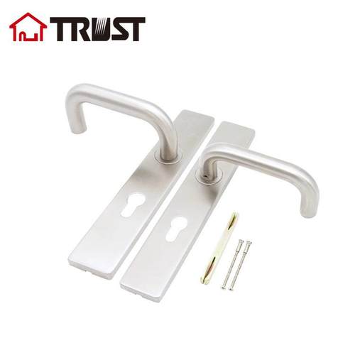 华信面TP01STP01S-TH-TH00手1SS不锈板锁配不锈钢拉欧式室内门锁