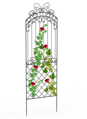 直TBV销代铁艺花现架架简约厅阳台庭院花子落地室外绿萝爬客藤架