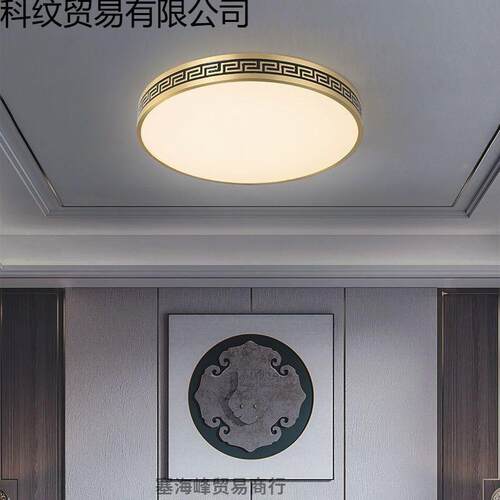 全铜别墅大门LED吸顶灯蚊防防门133厅灯入户虫外大户门口阳台灯