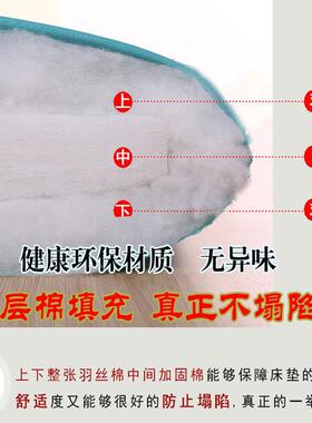 日式榻软榻米床垫地垫加厚垫F95567T6子可折叠打家用懒地铺睡垫人