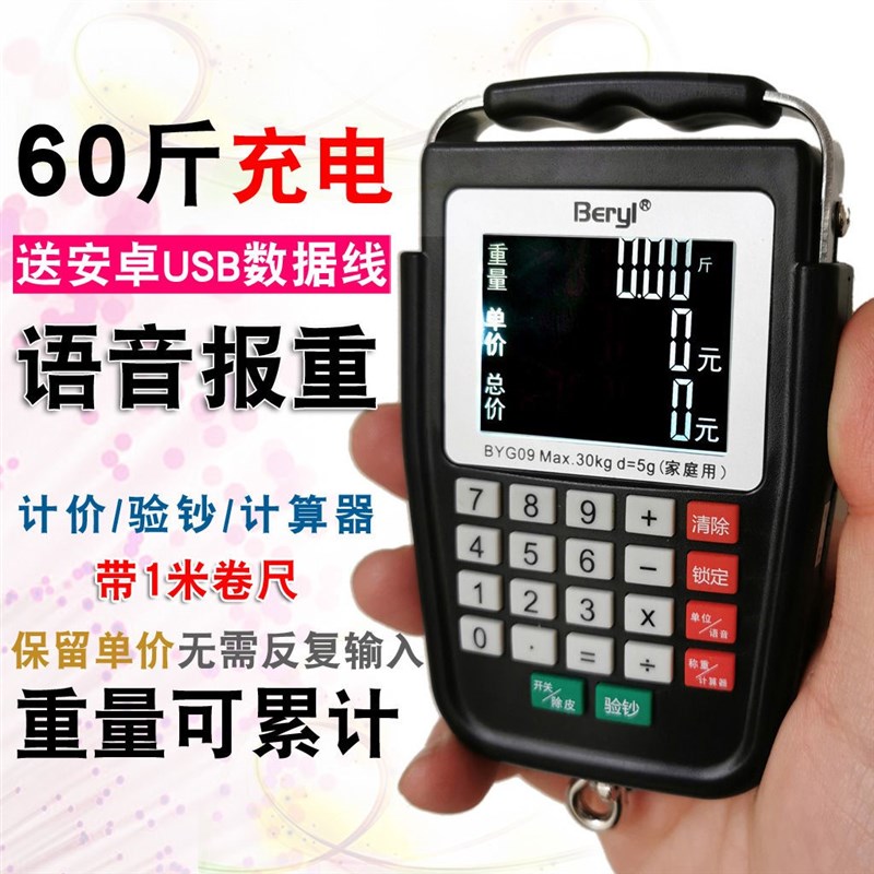 带语音充电计价手提秤电子弹簧秤快递秤行李称迷你钩称便携买菜秤