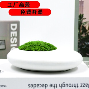 植物城堡永生苔藓盆景仿真微景观盆栽青苔永生花绿苔藓装饰摆件