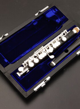 汉斯Haynes乌木短笛AP-86T AP-86W专业声音汇