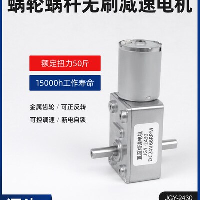 无刷直流Jgy-2430蜗轮双轴减速电机12V24V可调低速电动小电机