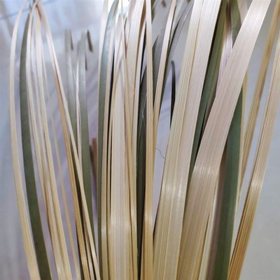 学生DIY作业手工竹片薄竹蔑片竹皮竹编园艺花艺竹条编织材料竹编