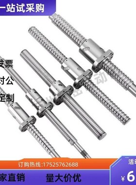 滚珠丝杠BSSR/BSSC/BSST/BSSH/BSSK0802 04 1010 1204 2005 2510
