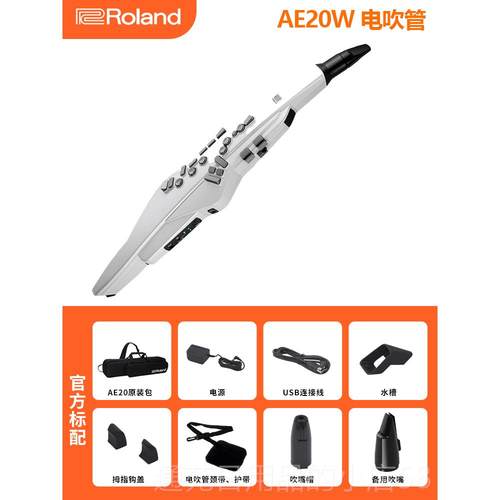 正品货Rdol萨an罗兰电吹管乐器AE20老年人初学娱乐AE30电子吹现管