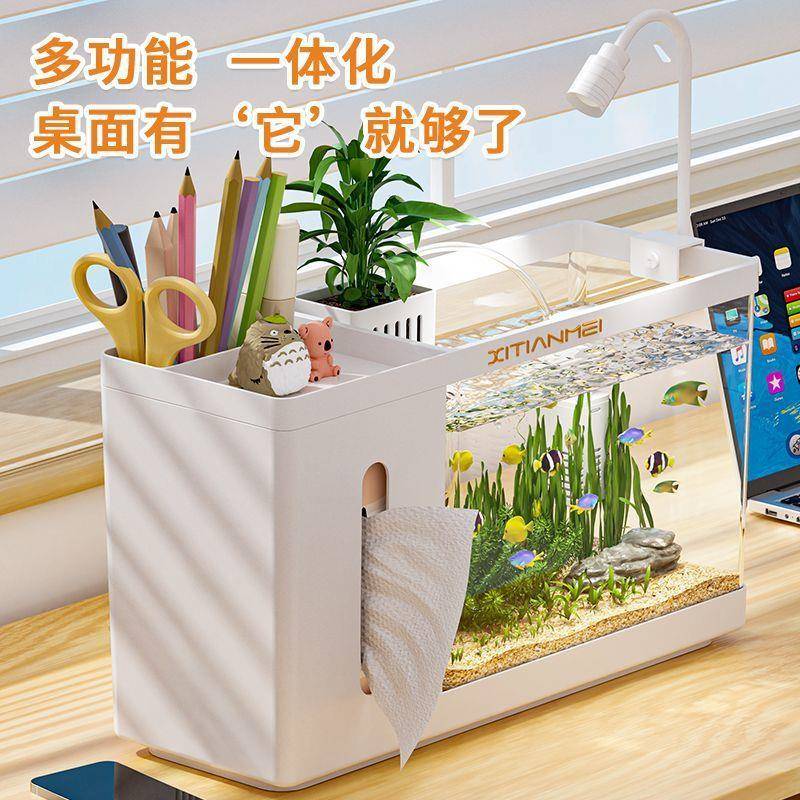 桌面纸巾缸盒鱼鱼缸小型用厅客生态缸多功能厂家直供水培篮办公室