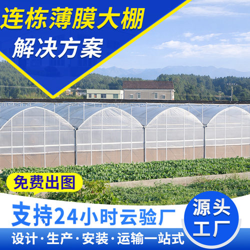温室大棚厂家连栋种植采摘养殖大棚农业大棚骨架温室大棚薄膜大棚
