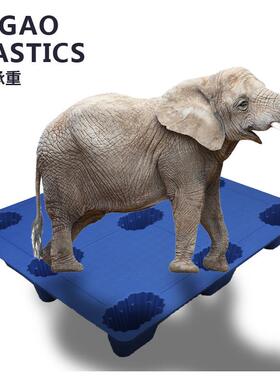 塑料托盘网格货九脚蓝色塑料卡板TBI仓储物地栈台潮板叉防车板