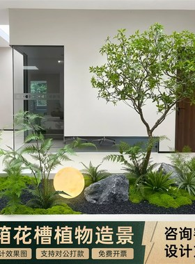 定制采光井仿真马醉木绿植造景室内橱窗假树摆件酒店民宿玄关旱景