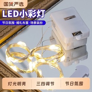 发光鲜花束串灯LED小彩灯灯串迷你蛋糕装饰闪灯灯笼电子灯芯卧室