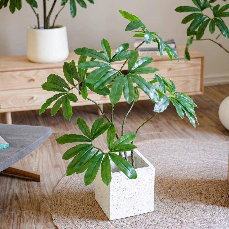 仿真绿植蔓绿绒盆景掬涵ZTX高端轻奢树装花家客居假厅植物饰盆栽