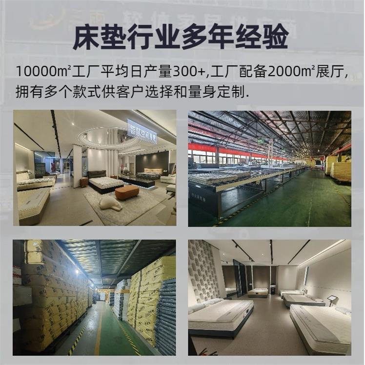 智能床垫电动床垫零床垫按TED席摩语音梦睡眠监测防打鼾乳胶压思