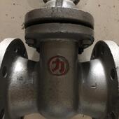 兰铜芯闸阀DN40 天大站力字ZIR牌阀Z41T1门6铸铁楔式 明杆法 津DN1