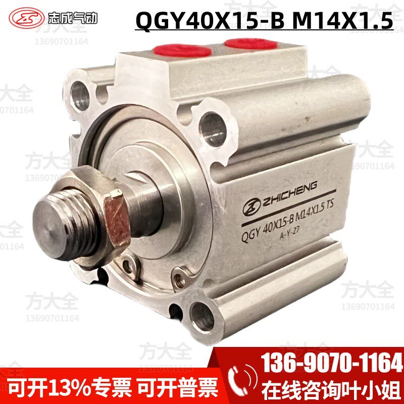 QGY40X15-B TS M14X1.5 M12X1.25 肇庆志成气缸 冲孔机气缸