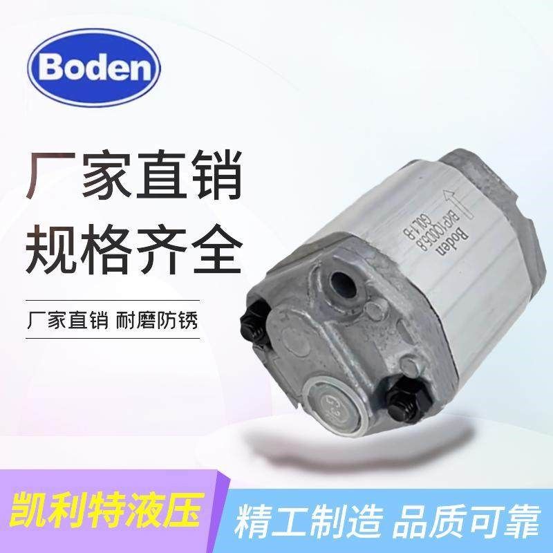Boden博顿双向齿轮泵BKP0.5B2R0.26/0.50/0.65/1.5/2.0G0L0-VQ1,标准件/零部件/工业耗材,液压泵,淘宝优惠券,粉丝福利购,淘宝优惠卷