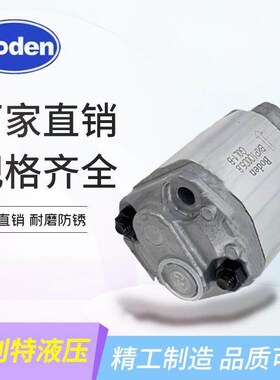 Boden博顿双向齿轮泵BKP0.5B2R0.26/0.50/0.65/1.5/2.0G0L0-VQ1