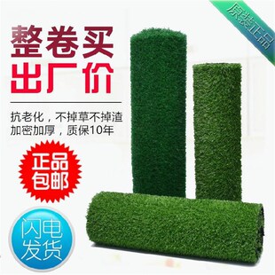 室内草坪地毯铺垫植物垫子2cm绿色假草皮草垫工地草坪围挡人工pvc