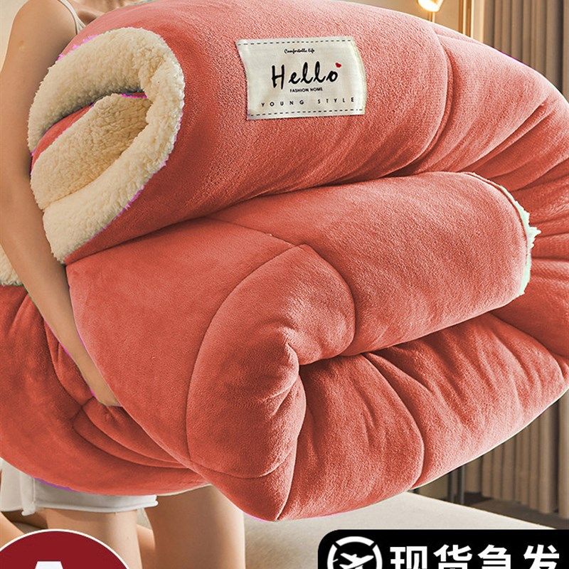 羊羔绒被子2025新款冬季棉被被芯冬天单人宿舍秋冬被加厚保暖10斤,床上用品,化纤被,淘宝优惠券,粉丝福利购,淘宝优惠卷