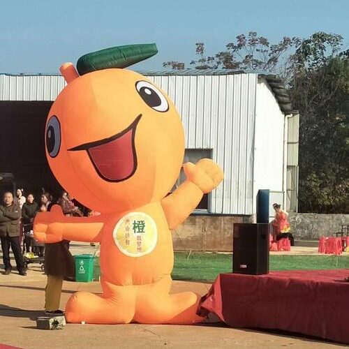 充气甜橙橘子橙子西瓜气模人 水果蔬菜气球 菠萝行走卡通人偶服装