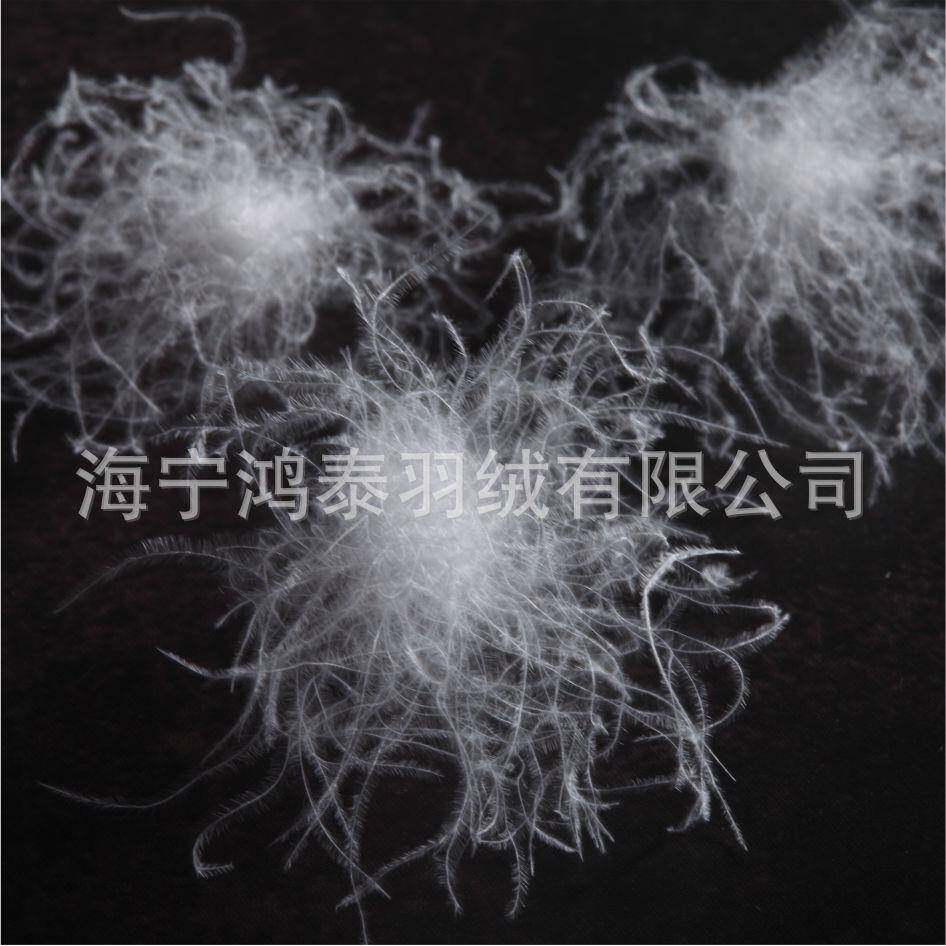 90鹅绒大朵2021水洗羽绒纯白制衣填NPC充物高白蓬直松销鹅绒