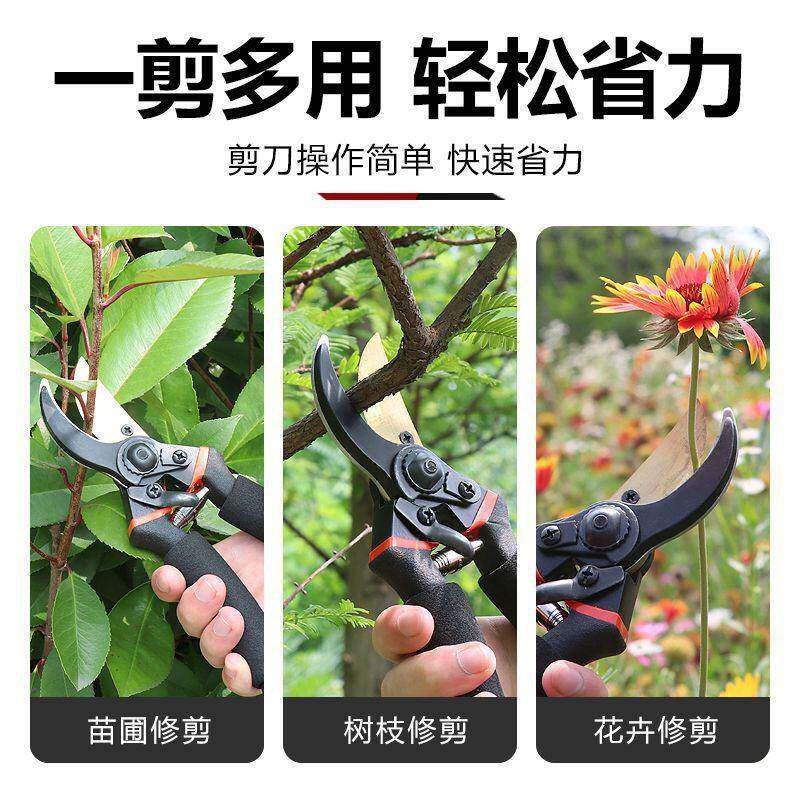 5德国进口枝钢SKFUG修枝剪力家用果树园林粗剪嫁省接花艺园艺剪工