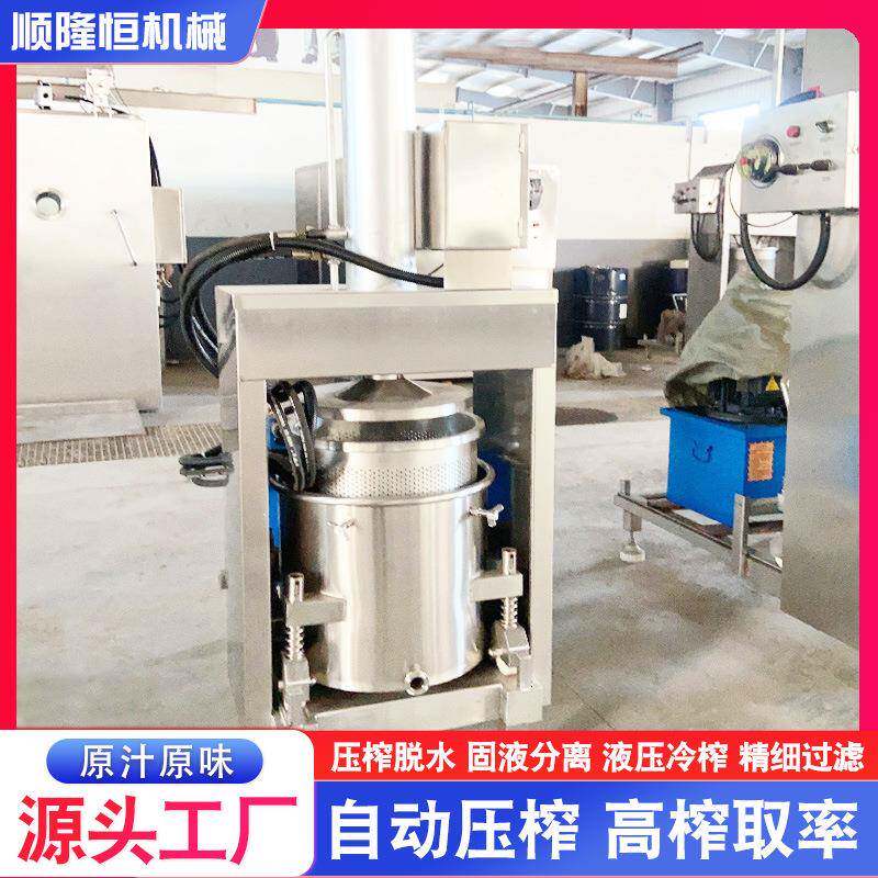 新鲜机荔枝果肉果榨压榨机汁汁渣分离压榨红心龙果火原味汁精密压