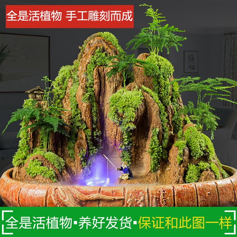 假山盆景植物室内山水造景吸水石小盆栽罗汉松清香木绿植悬崖树桩