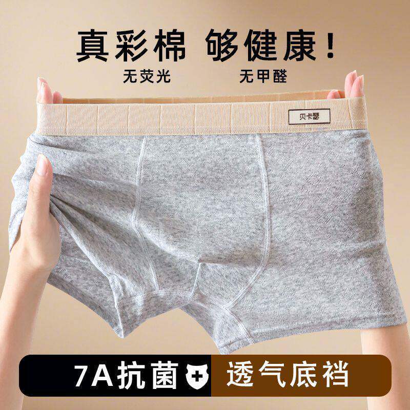 纯棉男士内裤I7A抗菌透气大码