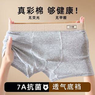 纯棉男士内裤7A抗菌透气中腰高弹四角裤透气全棉男生大码平角裤衩