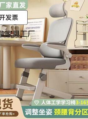 青年高初中学生12549专用字书桌椅升降子工学电写脑椅子儿椅童学