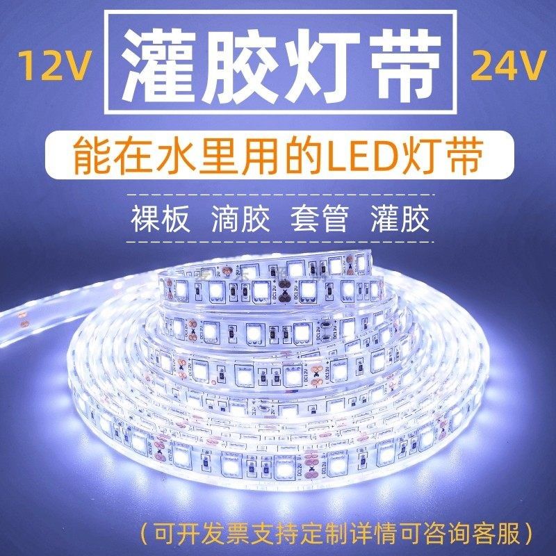 12V24v伏灌胶防水led灯带室外水里低压灯条鱼塘泳池裸板滴胶套管,家装灯饰光源,室内LED灯带,淘宝优惠券,粉丝福利购,淘宝优惠卷