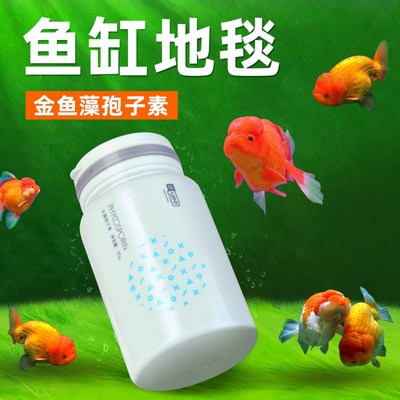 YEE兰寿长绒藻短绒藻孢子绿水藻鱼缸爆藻绿藻绿苔种鱼缸造景金鱼