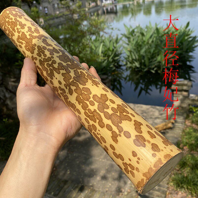 梅妃竹料斑竹花斑竹茶则料湘妃竹折扇料臂搁竹料竹竿民宿大号梅妃